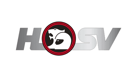 Hsv
